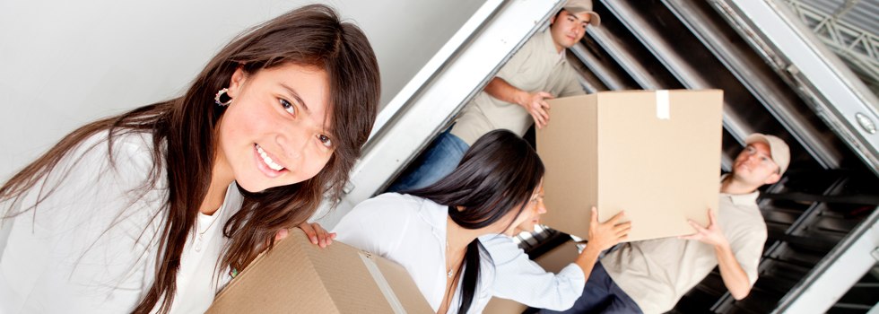 Professional Removalists Outtrim
